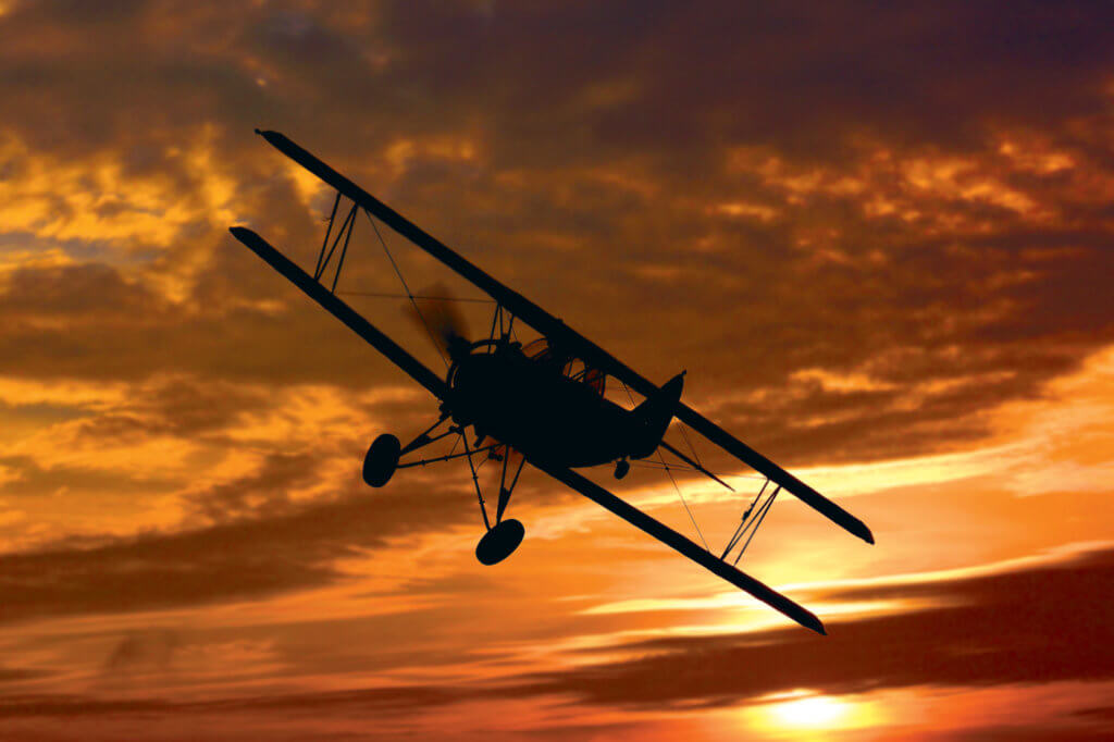 Fleet Finch