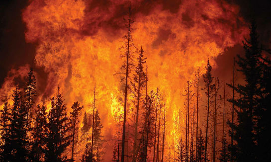 Although fire advanced to the edge of the airport, most of the buildings were spared. Ironically, the airport fire hall was consumed by the flames.